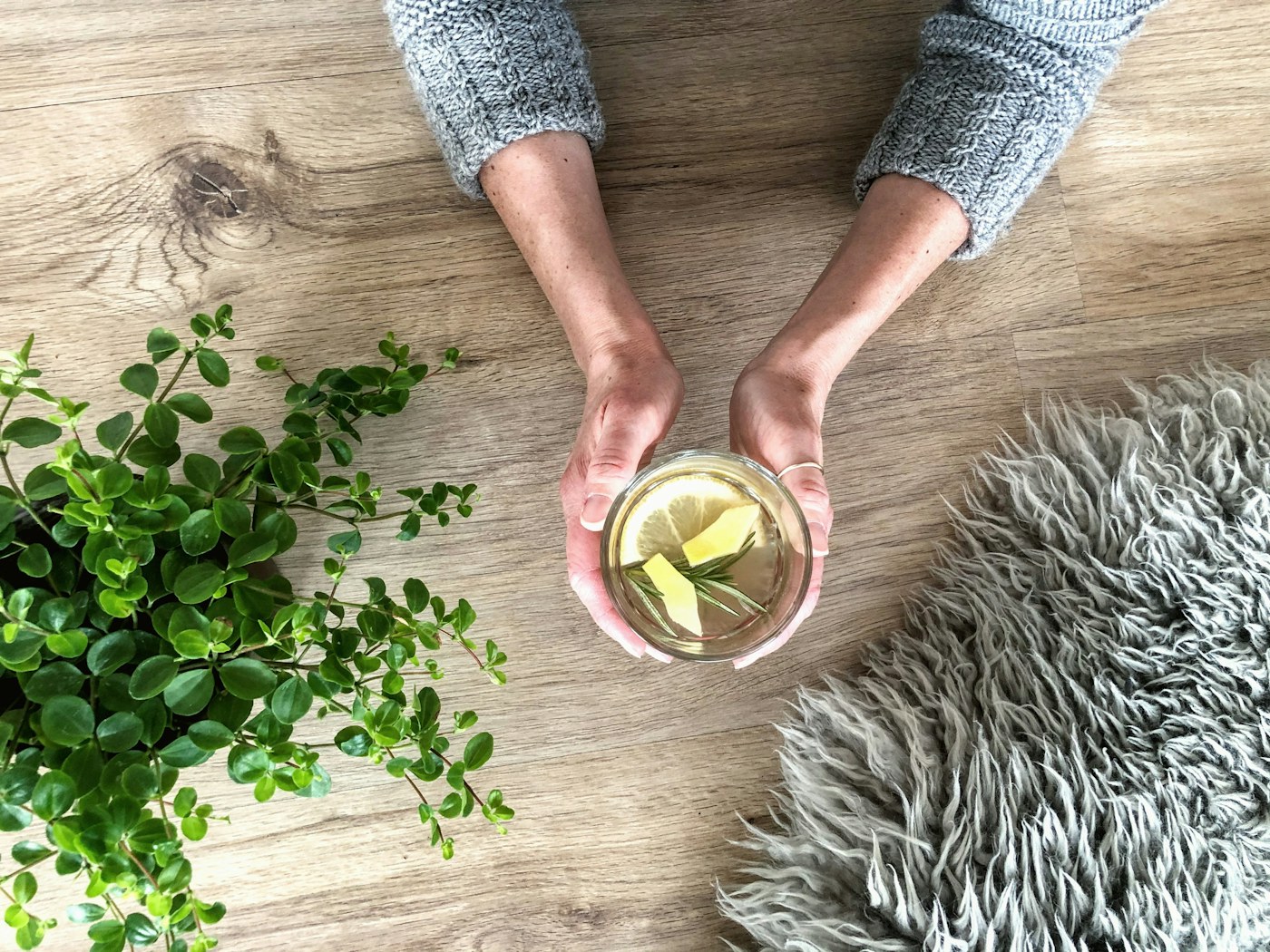 Photo editoriale: Infusions et plantes du sommeil: comment choisir sans surpromesse